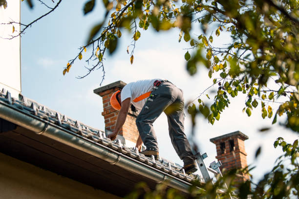 Best Roof Restoration Services  in Brownlee Park, MI