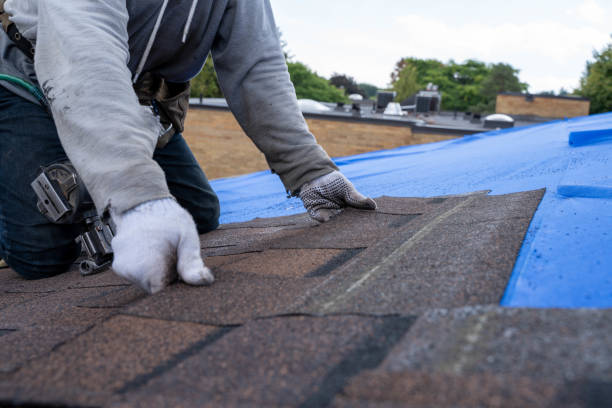 Best Best Roofing Contractors  in Brownlee Park, MI