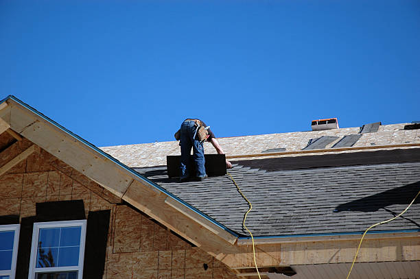 Best Storm Damage Roof Repair  in Brownlee Park, MI