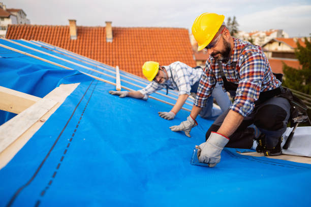 Quick and Trustworthy Emergency Roof Repair Services in Brownlee Park, MI