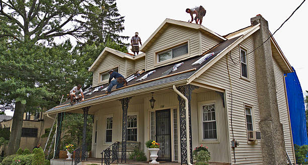 Best Residential Roofing Contractor  in Brownlee Park, MI