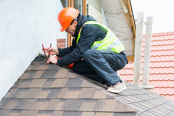 Best New Roof Installation  in Brownlee Park, MI