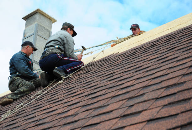 Best Roof Leak Repair  in Brownlee Park, MI